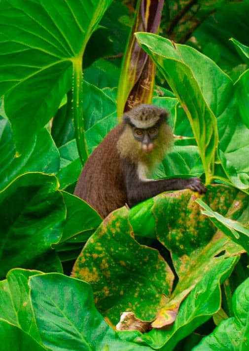 Finima Nature Park